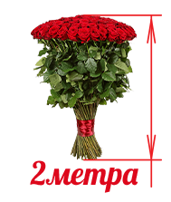 Розы 2м в Санкт-Петербурге